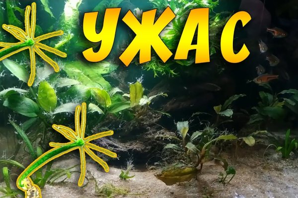 Кракен ссылка pw