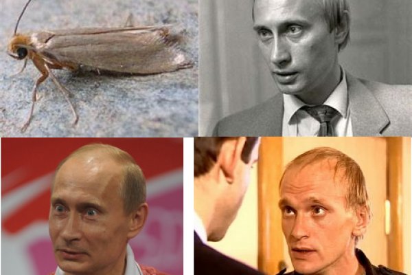 Кракен ориг ссылка