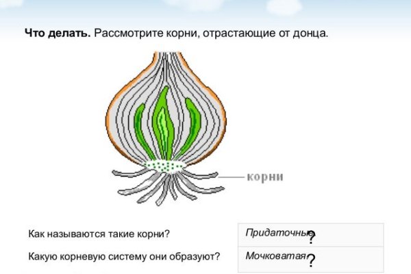 Ссылка на кракен свежая