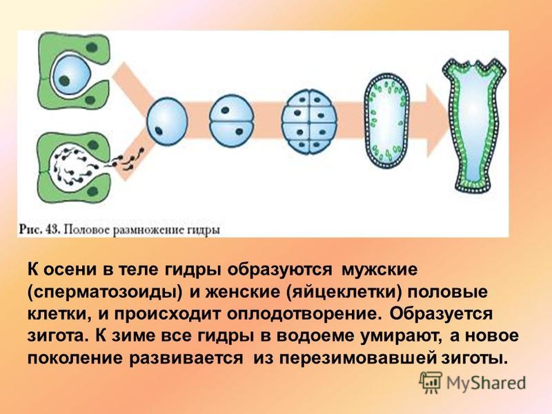 Взломали аккаунт кракен